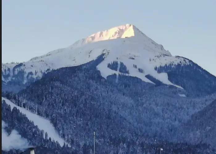 Guest Μπάνσκο