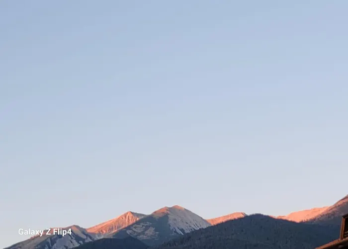 Guest * Μπάνσκο