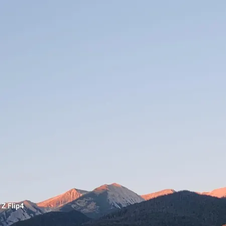 Guest * バンスコ